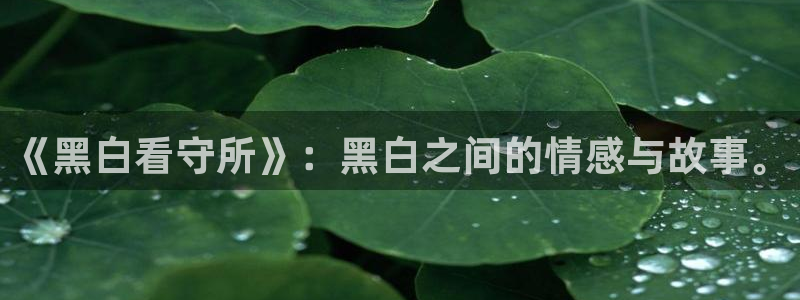 禁漫天堂com